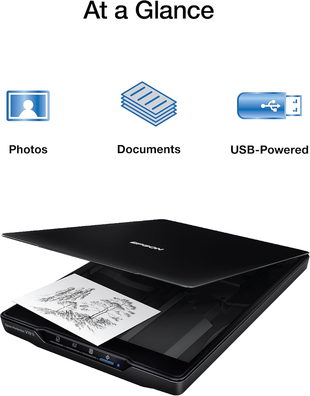 Epson Perfection V19 II Color Photo, Tax Receipt & Document Flatbed Scanner with 4800 dpi Optical Resolution USB Power, High-Rise, Removable Lid