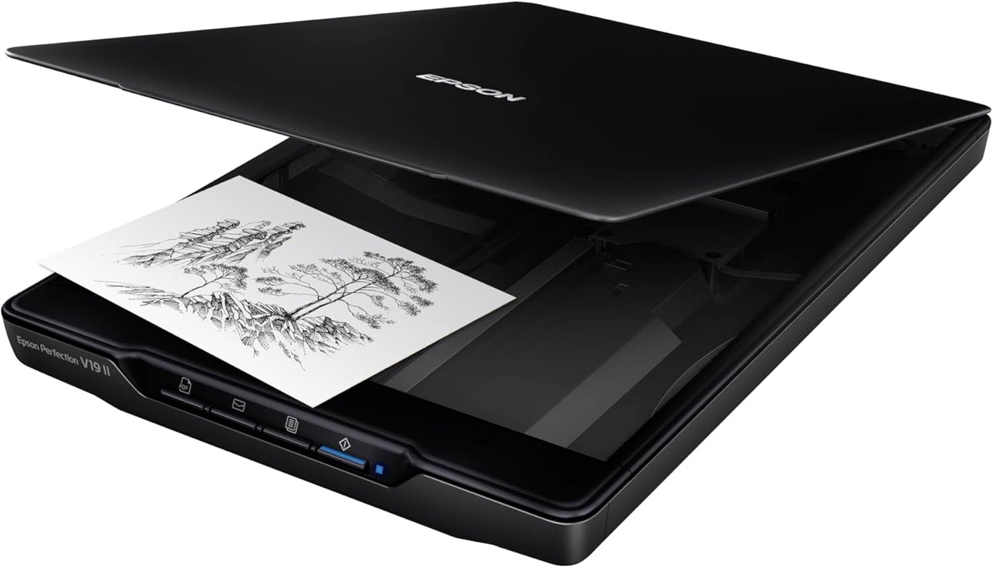 Epson Perfection V19 II Color Photo, Tax Receipt & Document Flatbed Scanner with 4800 dpi Optical Resolution USB Power, High-Rise, Removable Lid